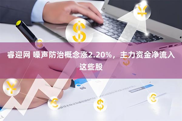 睿迎网 噪声防治概念涨2.20%，主力资金净流入这些股