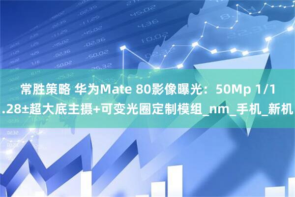 常胜策略 华为Mate 80影像曝光：50Mp 1/1.28±超大底主摄+可变光圈定制模组_nm_手机_新机