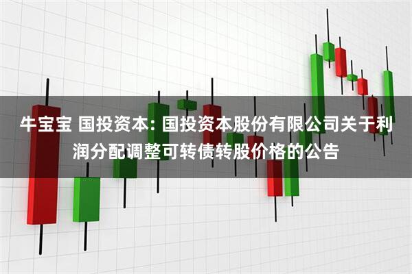 牛宝宝 国投资本: 国投资本股份有限公司关于利润分配调整可转债转股价格的公告