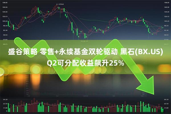 盛谷策略 零售+永续基金双轮驱动 黑石(BX.US)Q2可分配收益飙升25%
