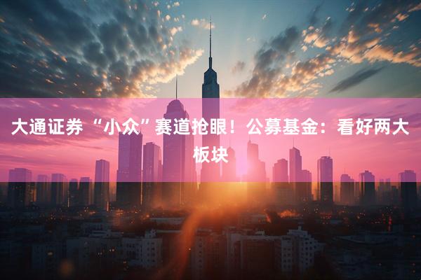 大通证券 “小众”赛道抢眼！公募基金：看好两大板块