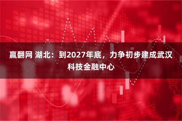 赢翻网 湖北：到2027年底，力争初步建成武汉科技金融中心