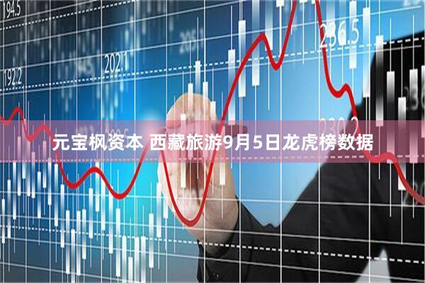 元宝枫资本 西藏旅游9月5日龙虎榜数据