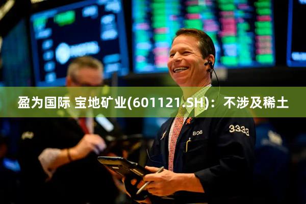 盈为国际 宝地矿业(601121.SH)：不涉及稀土