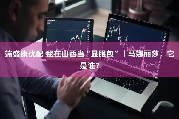 端盛康优配 我在山西当“显眼包”丨马娜丽莎，它是谁？